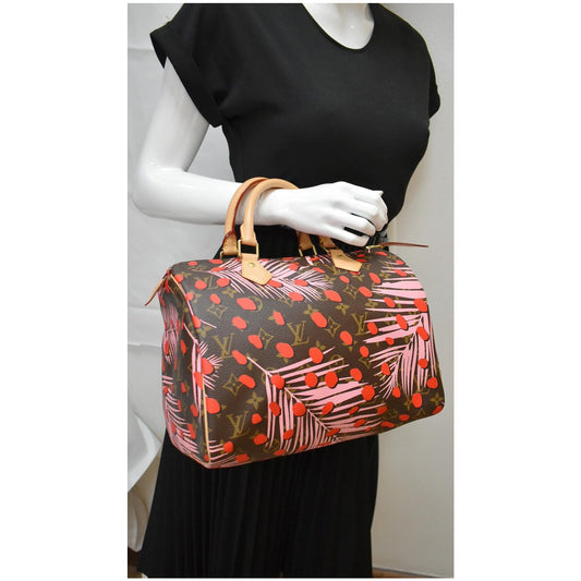 LOUIS VUITTON Speedy 30 Jungle Dots Palm Springs Satchel Bag Brown