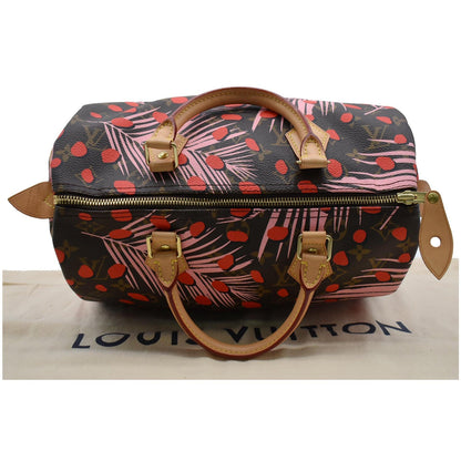 LOUIS VUITTON Speedy 30 Jungle Dots Palm Springs Satchel Bag Brown