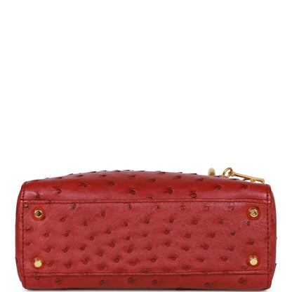 Christian Dior Mini Lady Bag Burgundy Ostrich Gold Hardware