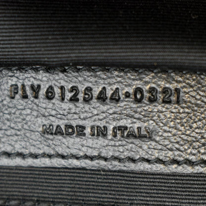 YVES SAINT LAURENT Lou Leather Camera Crossbody Bag Beige