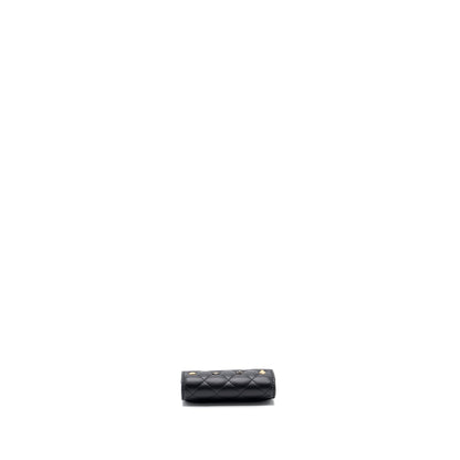 Chanel 23b Flap Card Holder Lambskin (Microchip)