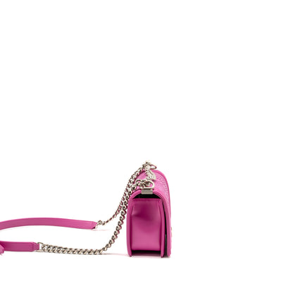 Chanel Medium Boy Flap Bag Python Pink Brushed