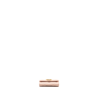 Chanel 19 Card Holder Lambskin Light Pink  (microchip)