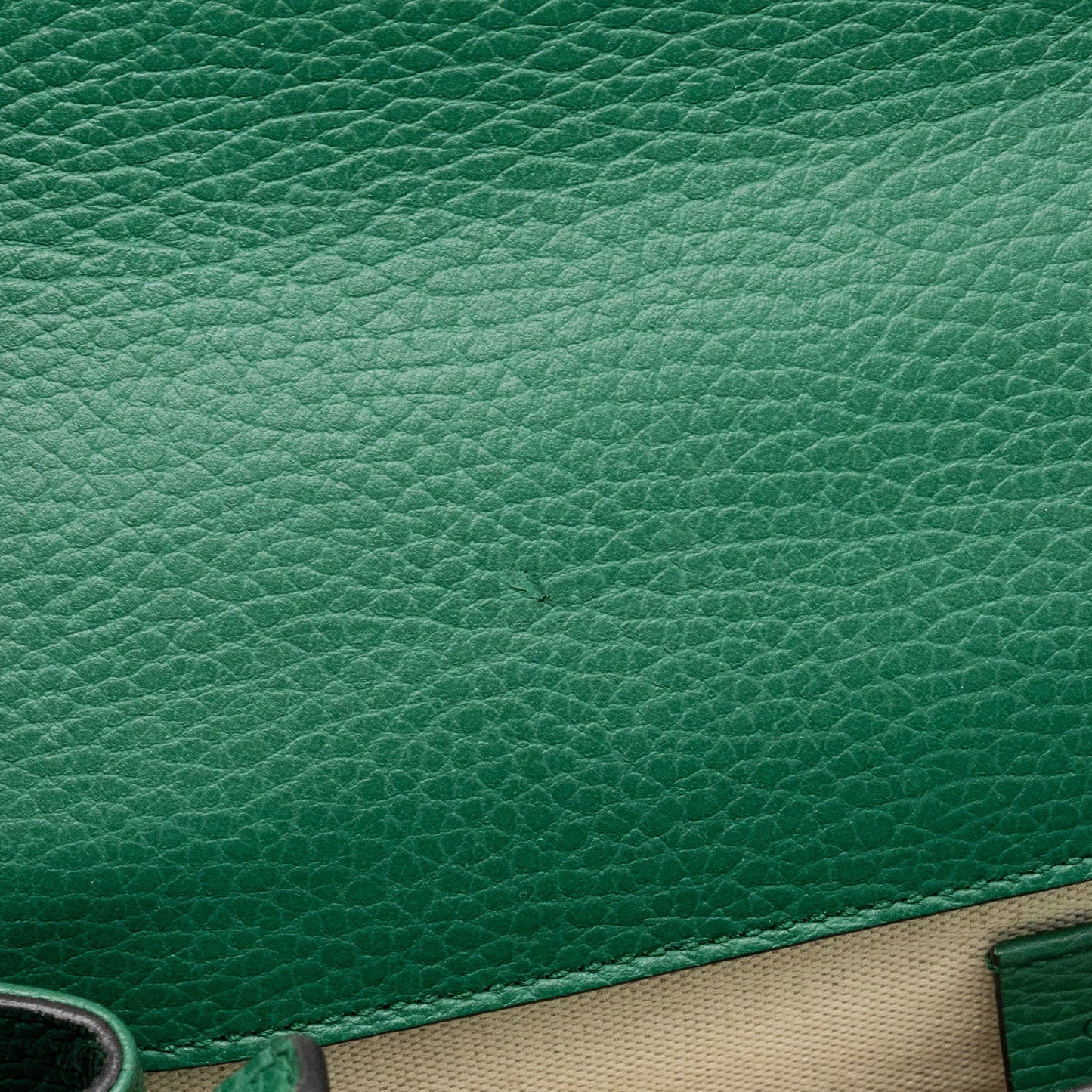 Gucci Dionysus Shoulder Bag Calfskin Green