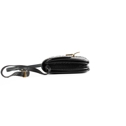 Celine Box Python Bag Black