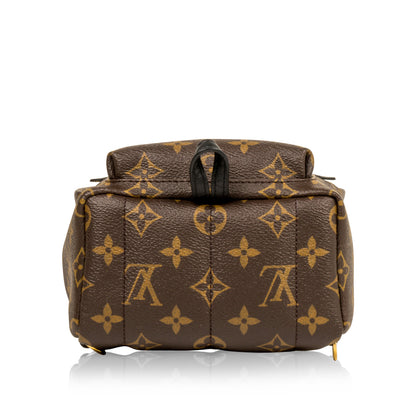 Louis Vuitton Palm Springs Backpack Mini