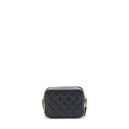 Chanel Pearl Crush Camera Bag Lambskin Black