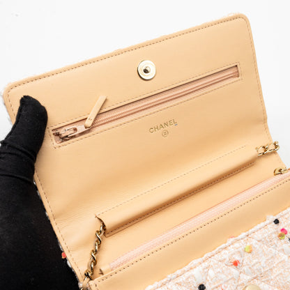 Chanel 19s Wallet On Chain/O Mini Bag Tweed Multicolour L