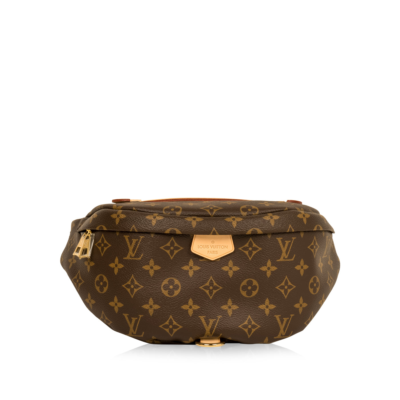 Louis Vuitton Bumbag - Monogram Canvas