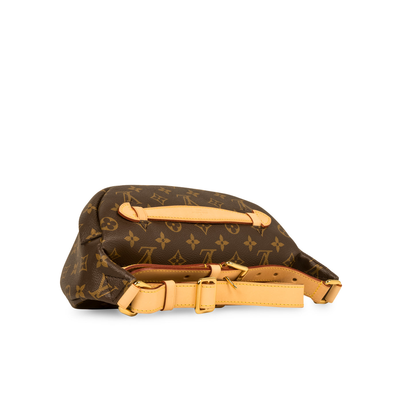 Louis Vuitton Bumbag - Monogram Canvas
