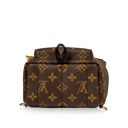 Louis Vuitton Palm Springs Backpack - Mini