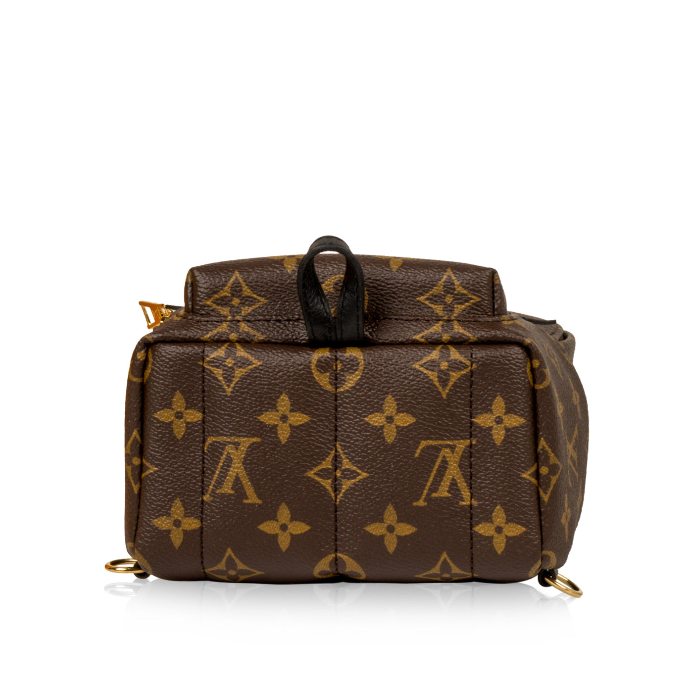 Louis Vuitton Palm Springs Backpack Mini - Monogram Canvas