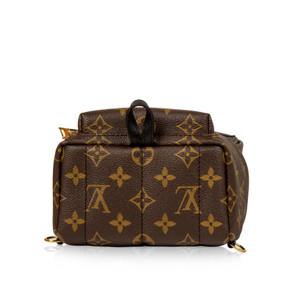 Louis Vuitton Palm Springs Backpack Mini