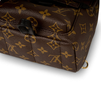 Louis Vuitton Palm Springs Backpack Mini