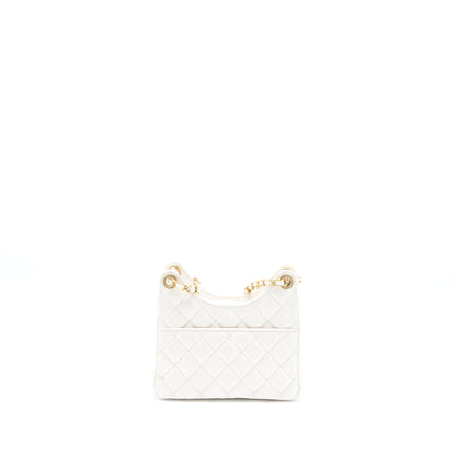 Chanel 23C Small Hobo Bag Shiny Calfskin White Brushed  (Microchip)