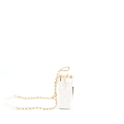 Chanel 23C Small Hobo Bag Shiny Calfskin White Brushed  (Microchip)
