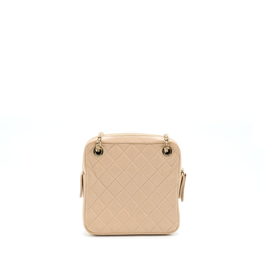 Chanel Small Vertical Camera Bag With Chain Lambskin Beige L