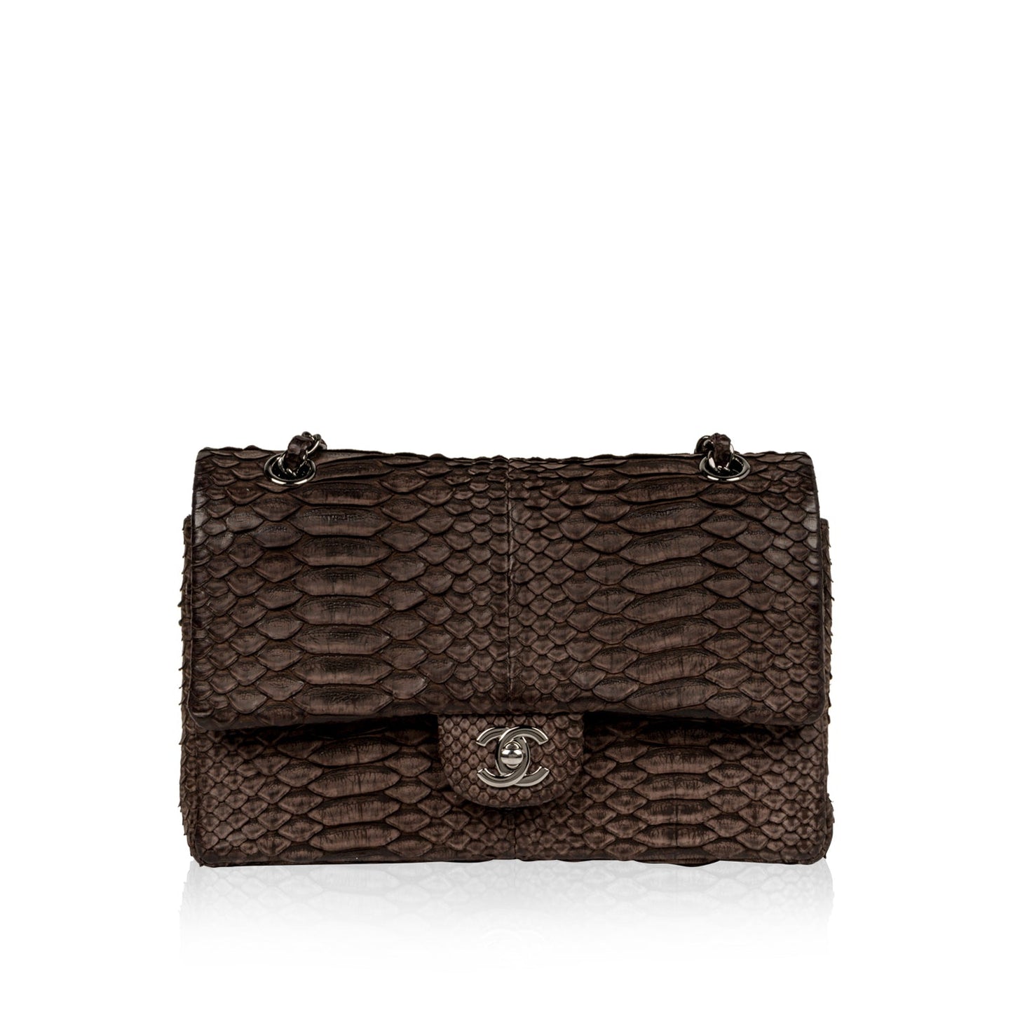 Chanel Classic Flap Bag - Python
