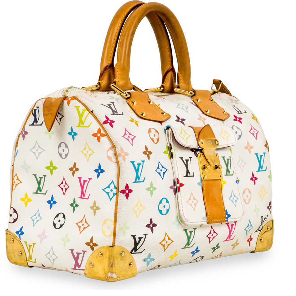 Louis Vuitton Multicolore Speedy