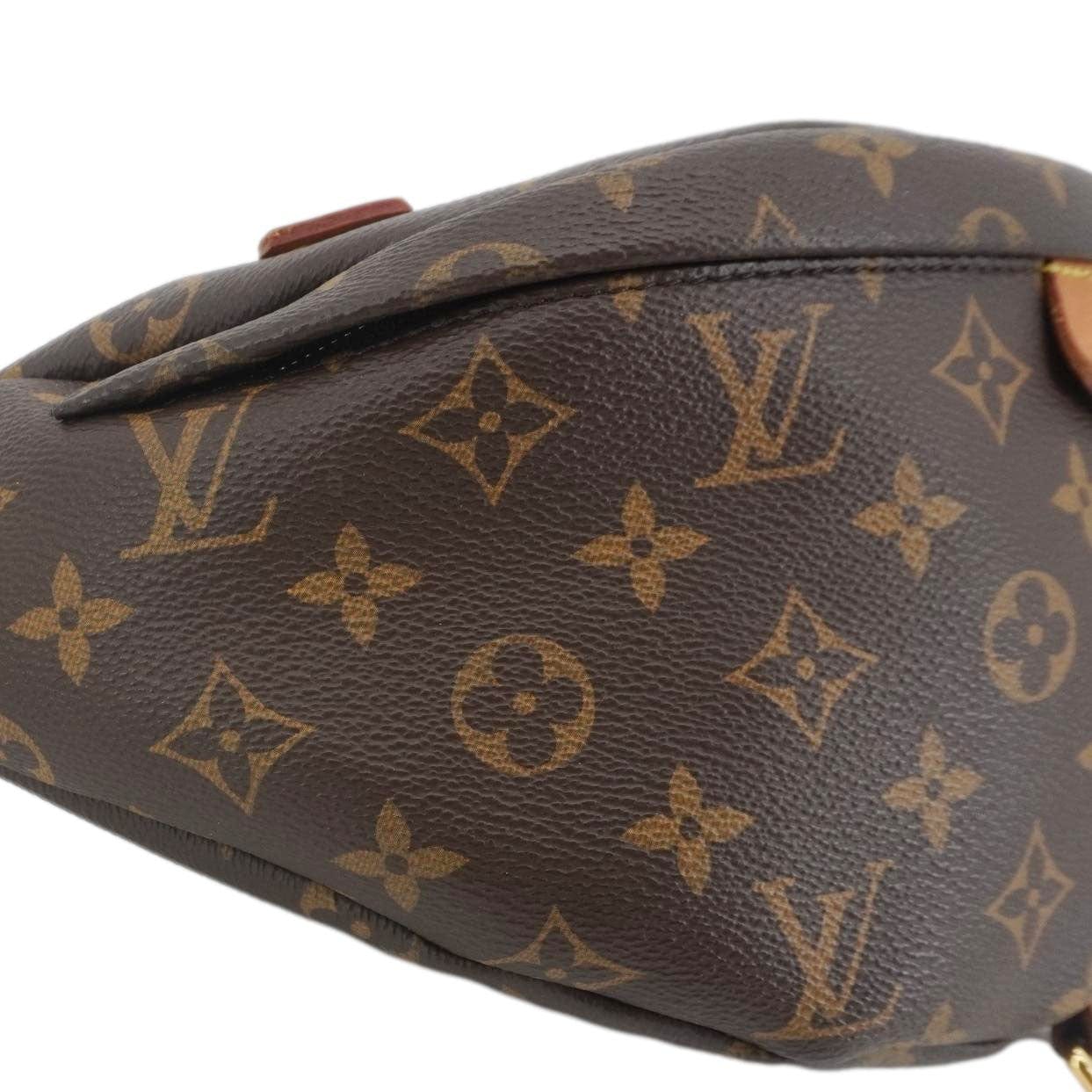 LOUIS VUITTON Monogram Canvas Bumbag Brown