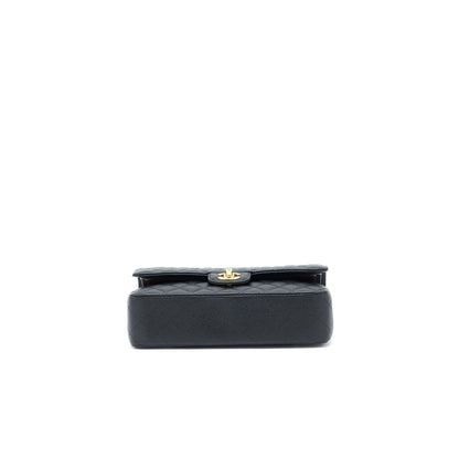 Chanel Medium Classic Double Flap Bag Caviar Black  (Microchip)