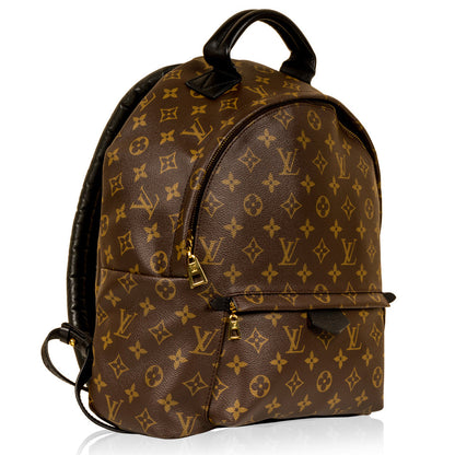 Louis Vuitton Palm Springs Backpack MM