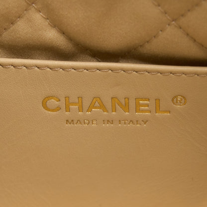 Chanel Mini 22 Bag Shiny Calfskin White Brushed  (Microchip)