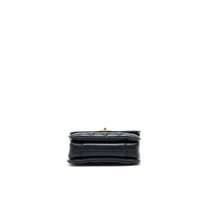 Chanel Seasonal Flap Bag Lambskin Black Brushed