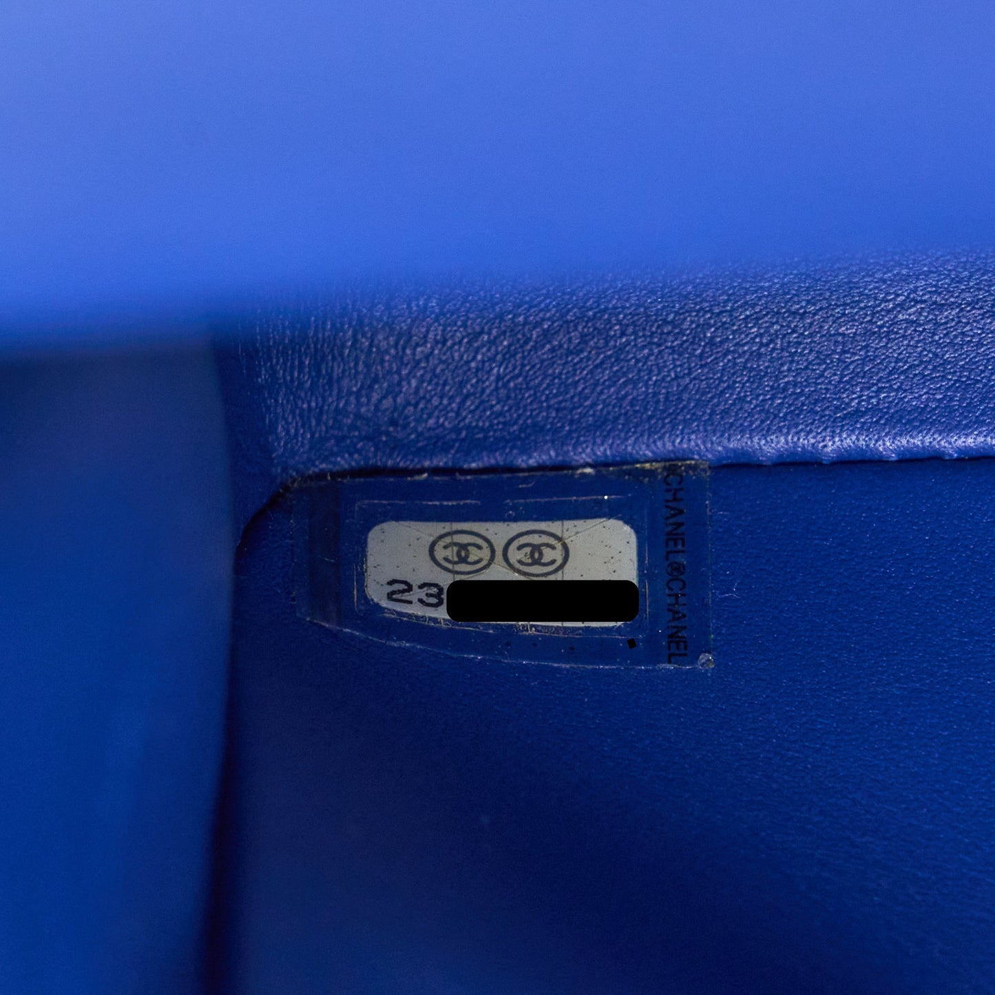 Chanel Medium Classic Double Flap Bag Python Blue