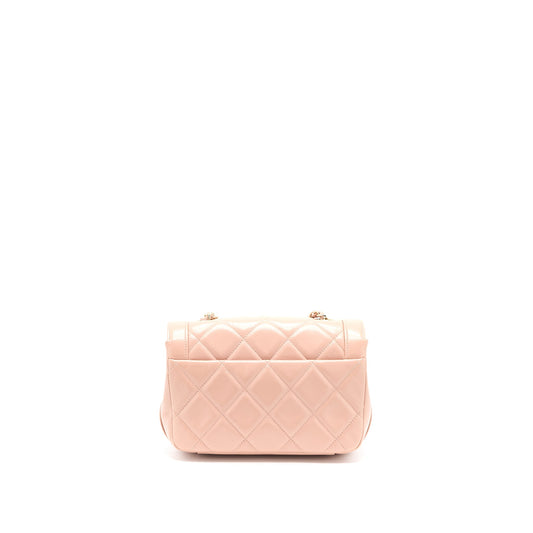 Chanel Seasonal Flap Bag Aged Calfskin Pink L