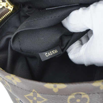 LOUIS VUITTON Palm Springs PM Monogram Canvas Backpack Brown