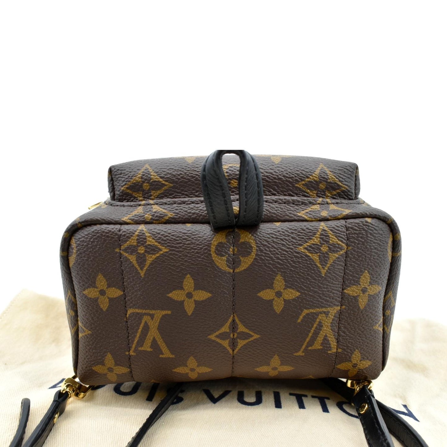 LOUIS VUITTON Palm Springs Mini Monogram Canvas Backpack Brown