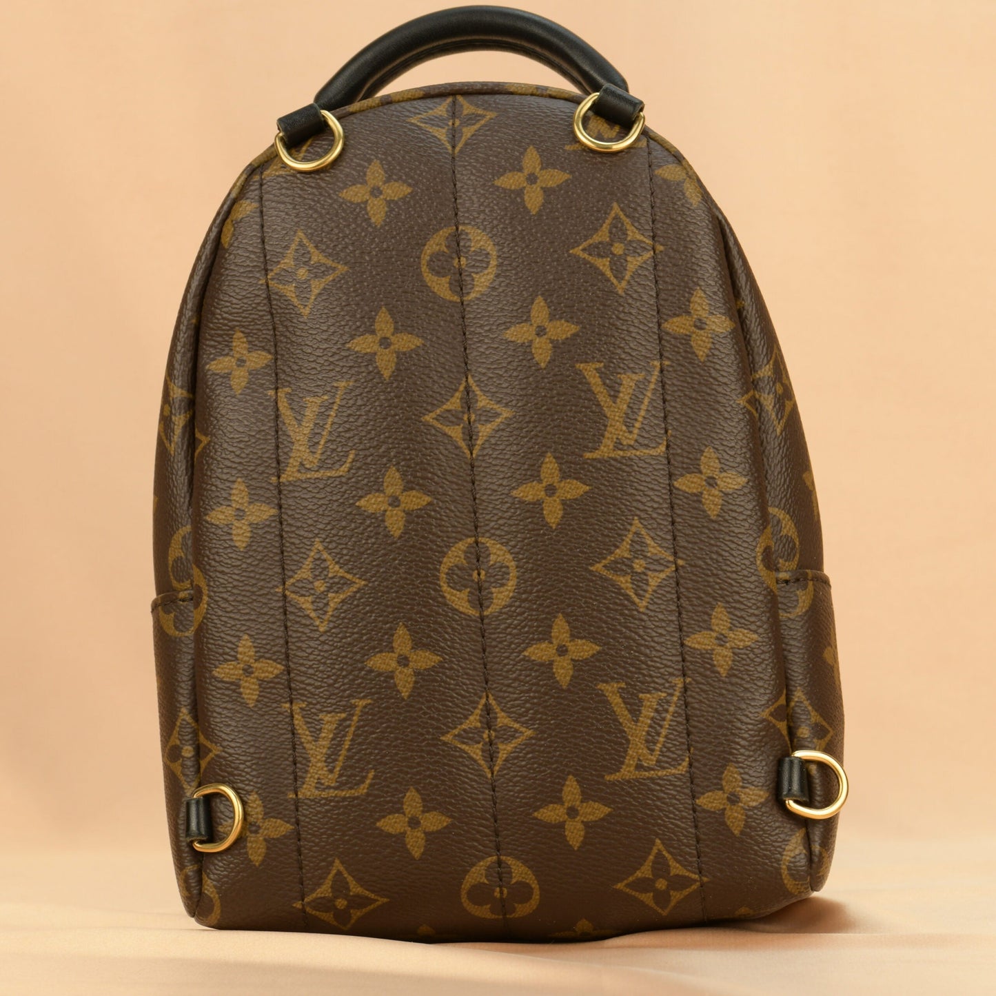 Louis Vuitton Palm Springs Mini Backpack