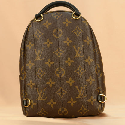 Louis Vuitton Palm Springs Mini Backpack