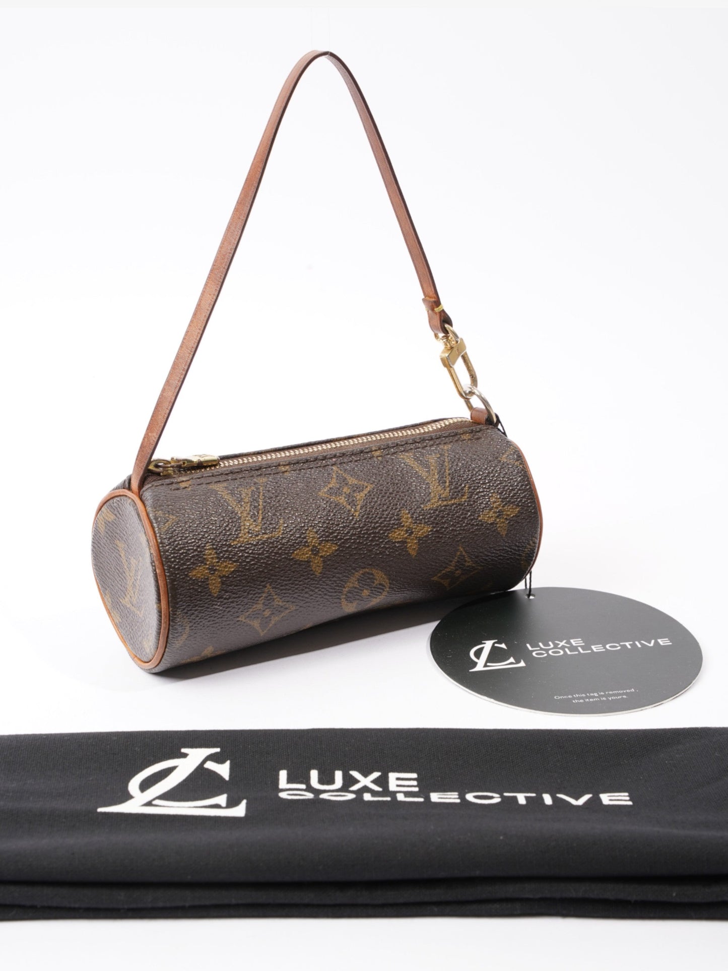 Louis Vuitton Papillon Monogram Coated Canvas Mini