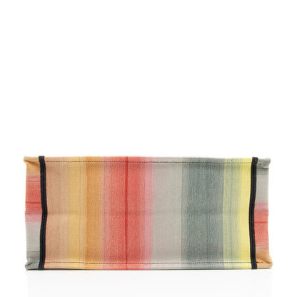 Dior Canvas Dioraura Small Book Tote