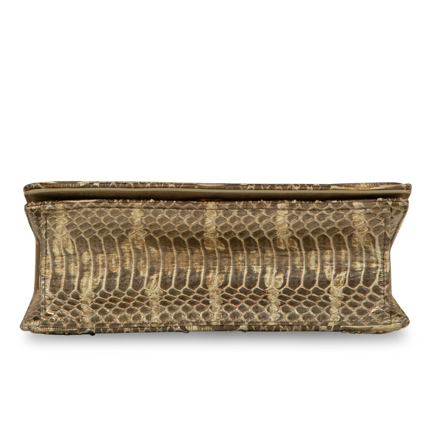 Christian Dior Small Studded Diorama - Python