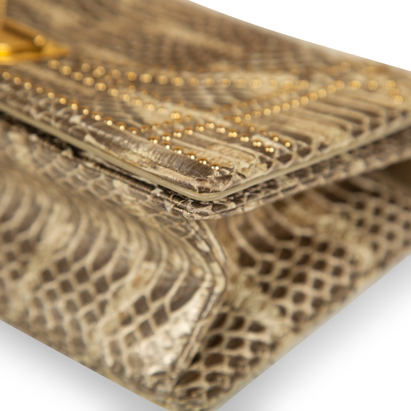 Christian Dior Small Studded Diorama - Python