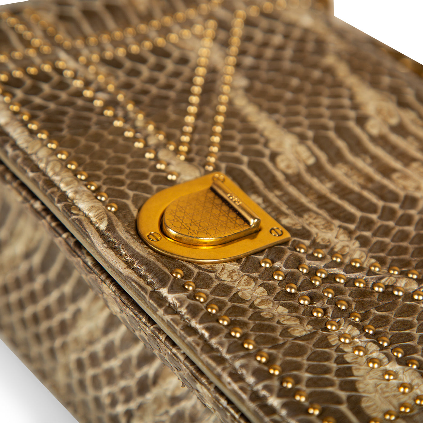Christian Dior Small Studded Diorama - Python