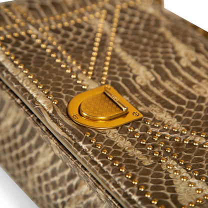 Christian Dior Small Studded Diorama - Python