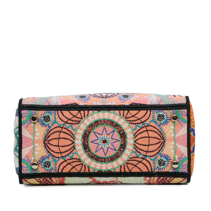 Dior Medium Embroidered In Lights Lady D-Lite (SHG-SQ6wEf)