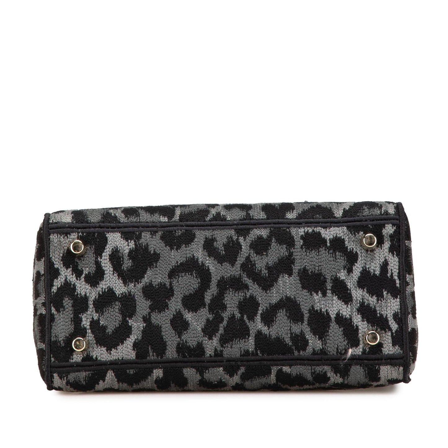 Dior Mizza Medium Embroidered Canvas Leopard Lady D Lite