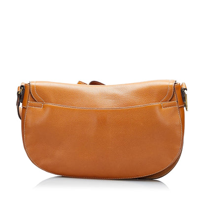 Dior Saddle Crossbody Bag (SHG-r7C1DW)