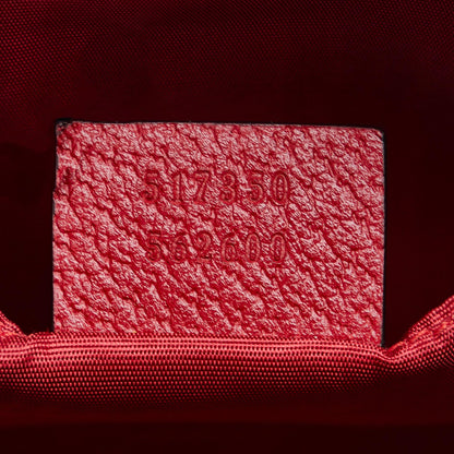 Gucci Baiadera Crossbody (SHG-PmGDJn)