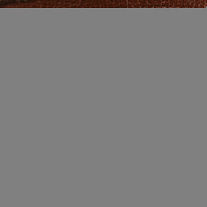 Gucci GG Canvas Crossbody