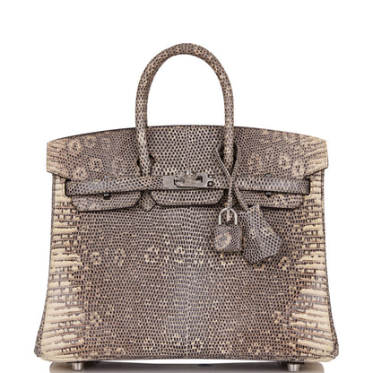 Hermes Birkin 25 Ombre Shiny Salvator Lizard Palladium Hardware