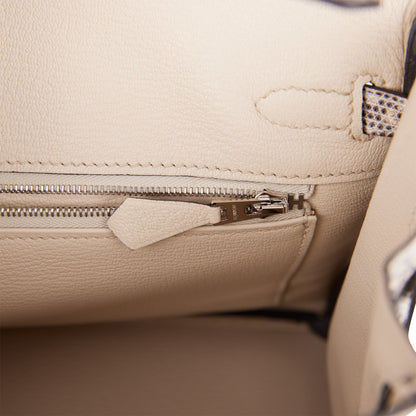 Hermes Birkin 25 Ombre Shiny Salvator Lizard Palladium Hardware
