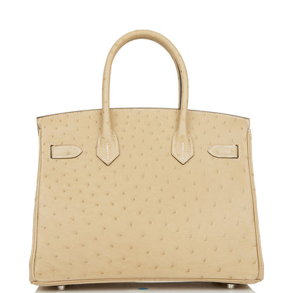 Hermes Birkin 30 Trench Ostrich Palladium Hardware