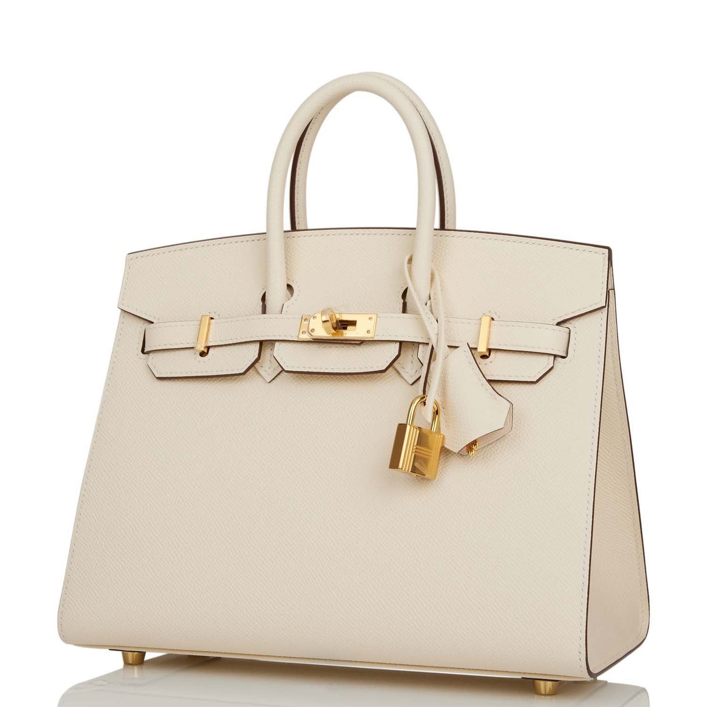 Hermes Birkin 25 Sellier Nata Epsom Gold Hardware