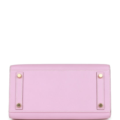 Hermes Birkin 25 Sellier Mauve Sylvestre and Bleu Brume Epsom Brushed Gold Hardware